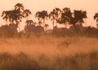 sAf-0089.jpg