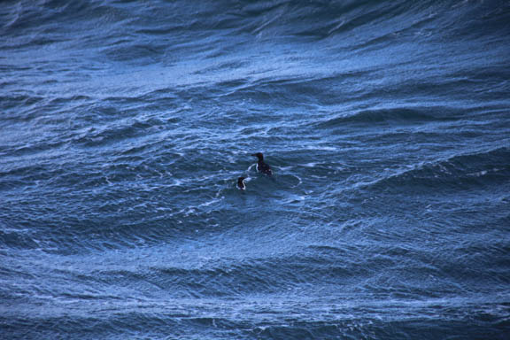 image b-arctic-30.jpg