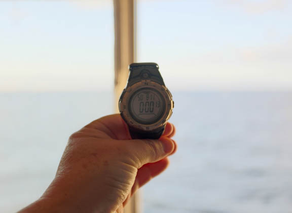 image b-arctic-31.jpg