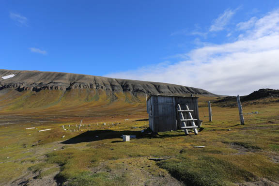 image b-arctic-38.jpg