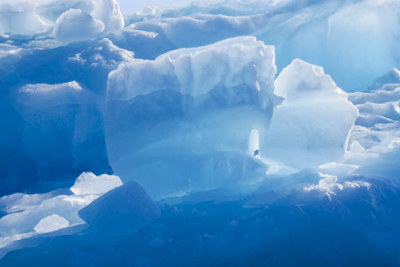 image b-arctic-40.jpg