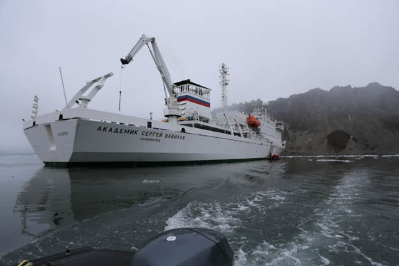 image b-arctic-41.jpg