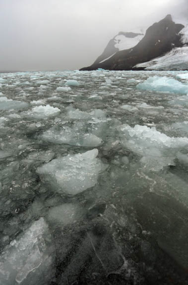 image b-arctic-44.jpg