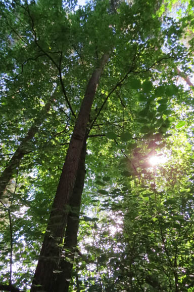 image b-arctic-63.jpg