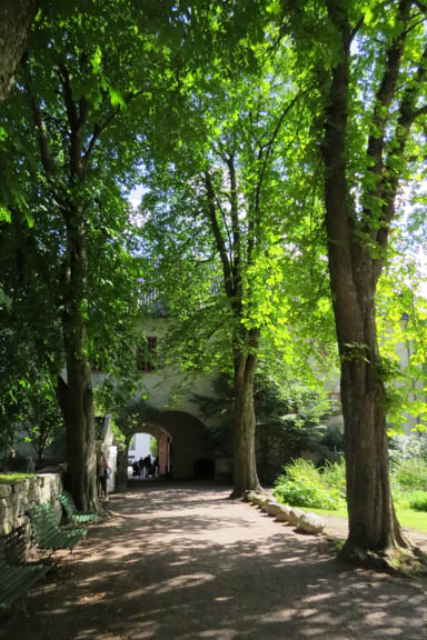 image b-arctic-64.jpg