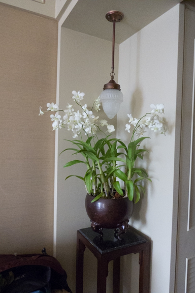 image bLV-0097.jpg