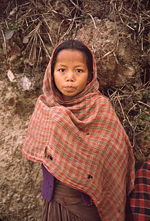 image bFDS050315224327.jpg