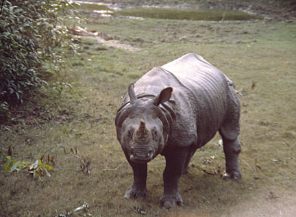 image bFDS050315225301.jpg