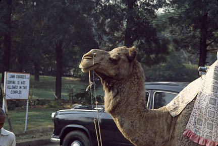 image bGDS050315225554.jpg