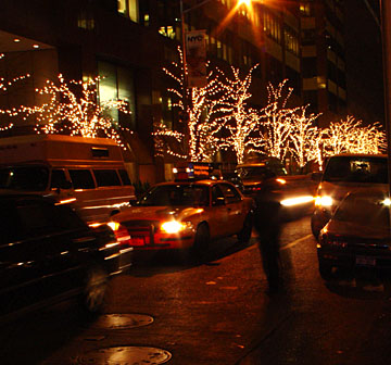 image bDSC00337.jpg