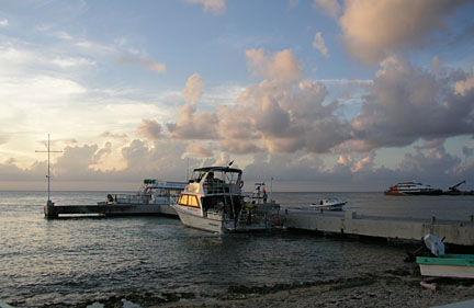 image bCx_10100784k.jpg
