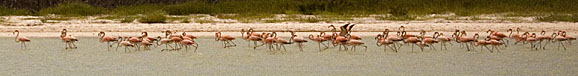 image bCx_1799_3_w.jpg