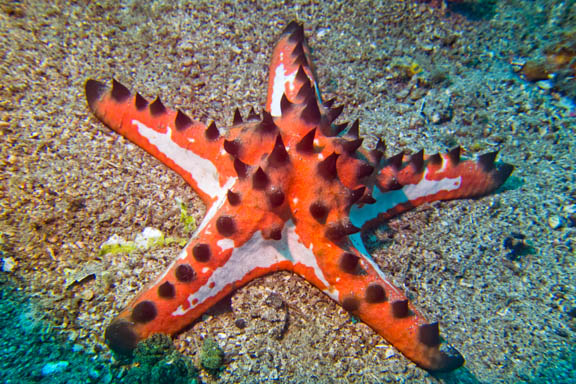 image b-indonesia-70.jpg