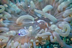 s-indonesia-65.jpg