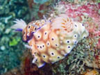 s-indonesia-67.jpg