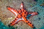s-indonesia-70.jpg