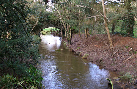 image bI5B_PC310209k.jpg
