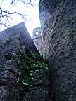 sI5B_DSC00977w.jpg