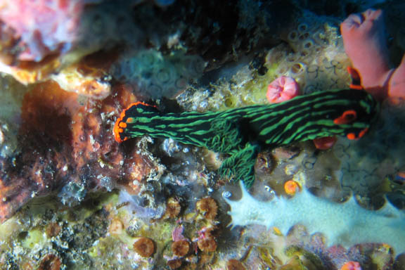 image b-philippines-25.jpg