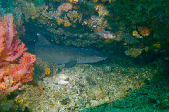 image b-philippines-33.jpg