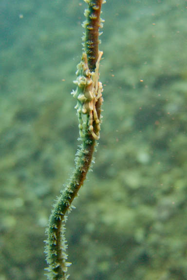 image b-philippines-35.jpg