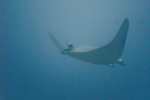 image b-philippines-39.jpg