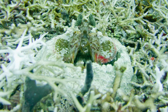 image b-philippines-40.jpg
