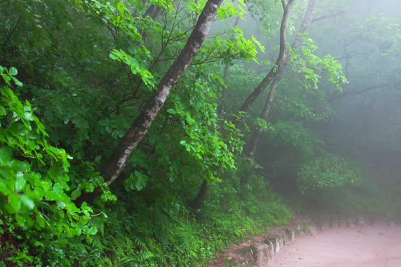 image b-philippines-62.jpg