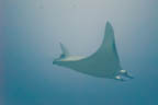 s-philippines-38.jpg