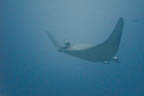 s-philippines-39.jpg