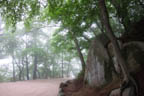 s-philippines-63.jpg