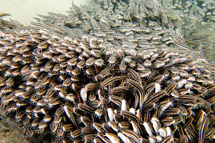 image bIMG_0399K.jpg