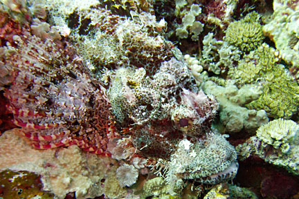 image bIMG_0964K.jpg