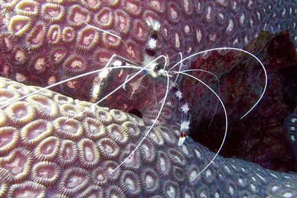image bIMG_1087K.jpg