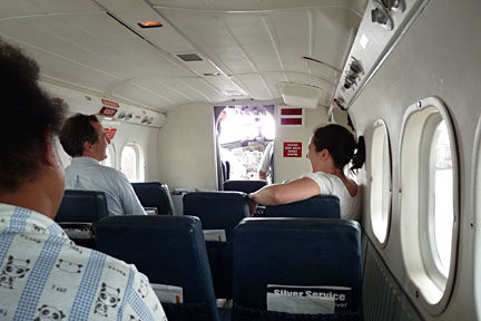 image bP1000375W.jpg