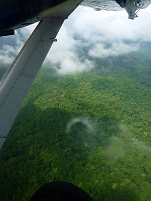 image bP1000379W.jpg