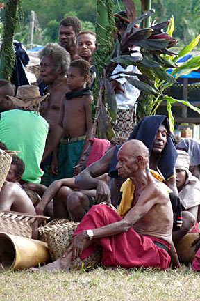 image bP1000440W.jpg