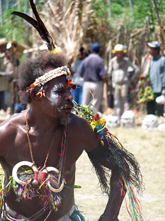 image bP1000555W.jpg