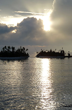 image bPm21000431W.jpg