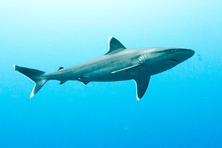 image bkIMG_0676K.jpg