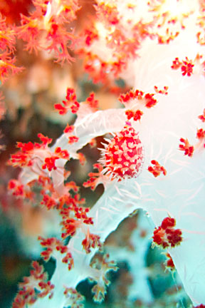 image bnIMG_0422K.jpg