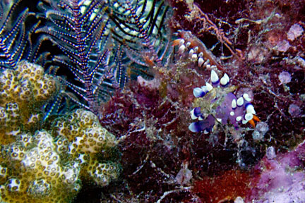 image bnIMG_0464K.jpg