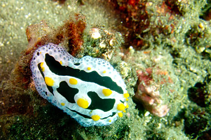 image bnIMG_0493K.jpg