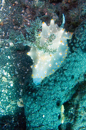 image bnIMG_0501K.jpg