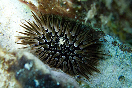 image bnIMG_0852K.jpg