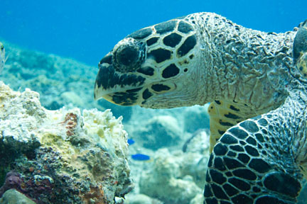 image bt1IMG_0859K.jpg