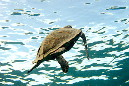 image bt3IMG_0851K.jpg