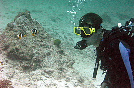 image bP1013023-2.jpg
