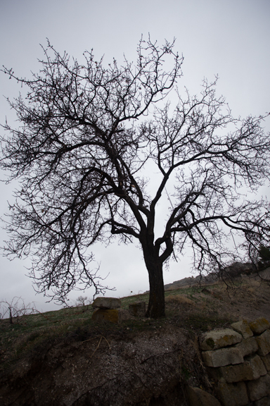 image bT-0045.jpg